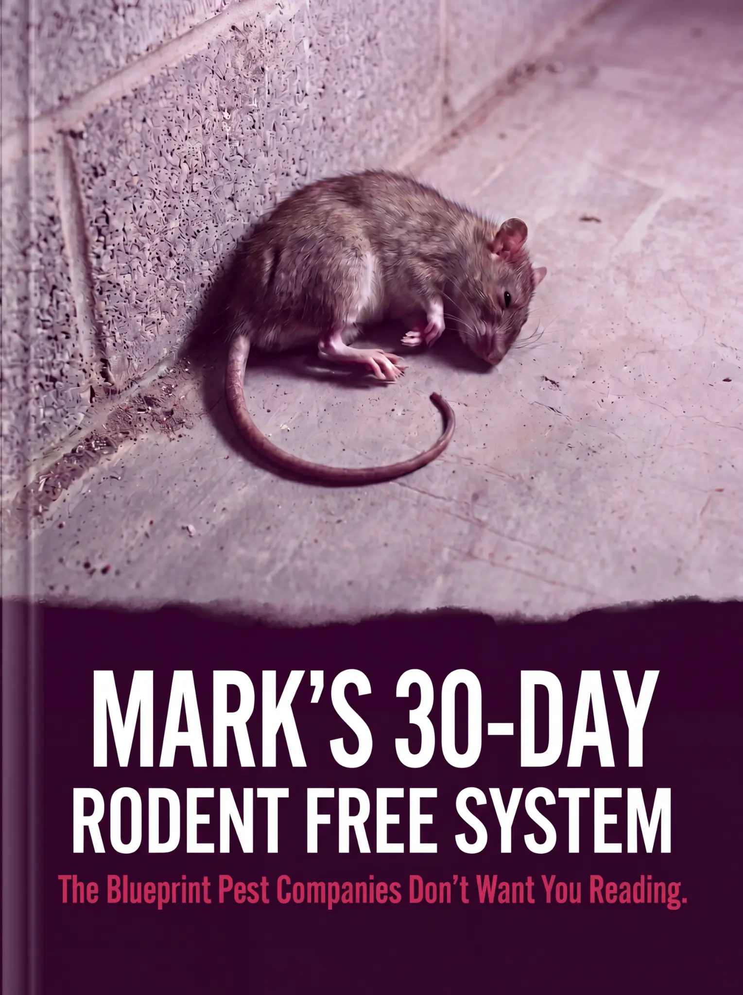 Mark's 30-Day Rodent-Free Protocol